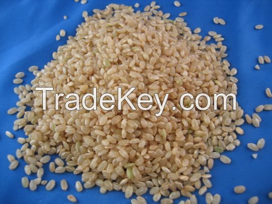 Good Short Grain Brown Rice