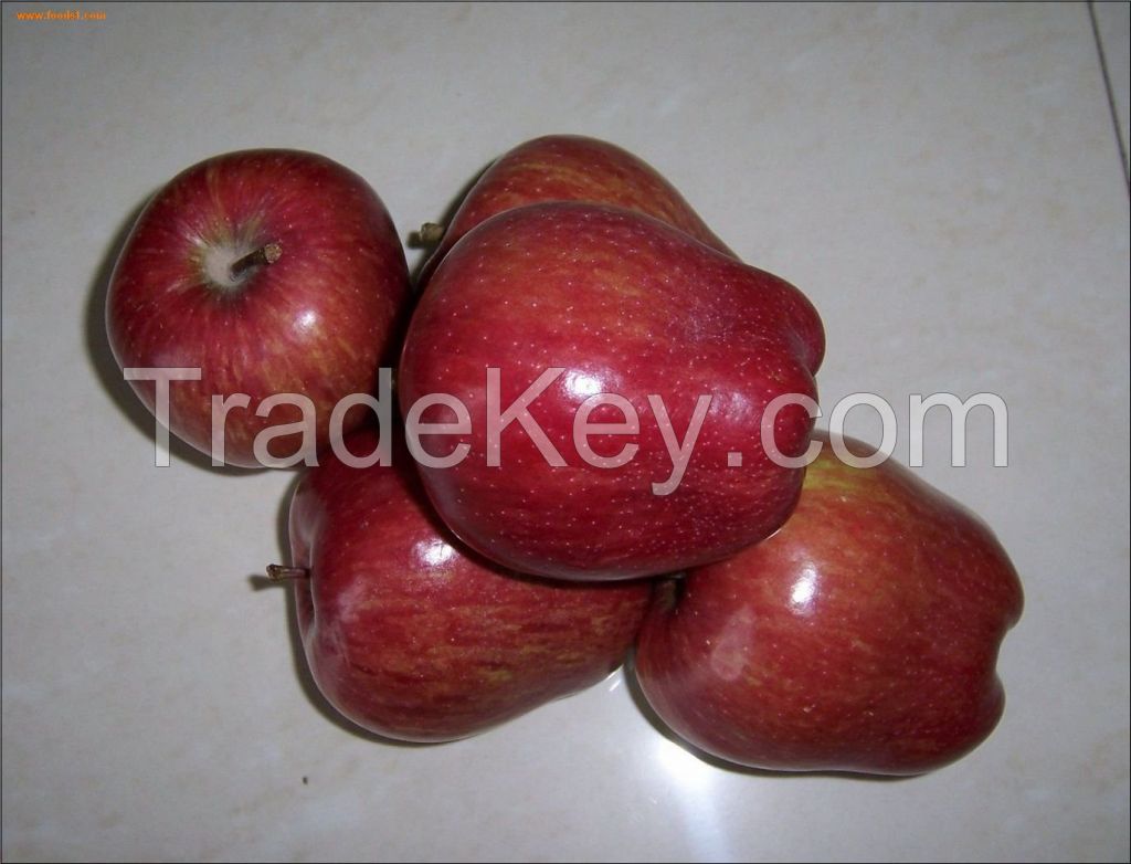 Fresh Red Delicious Apple