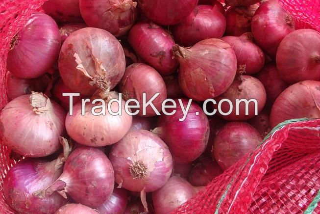 Fresh Red & Yellow Onions