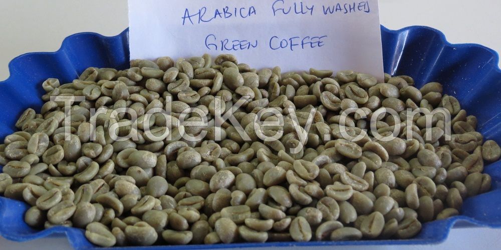 Washed Arabica Green Coffee Beans