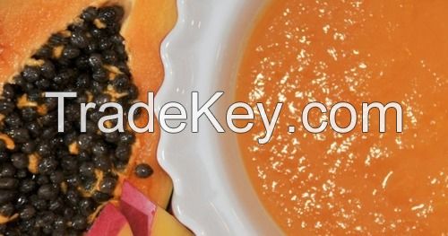 Papaya Puree for sale