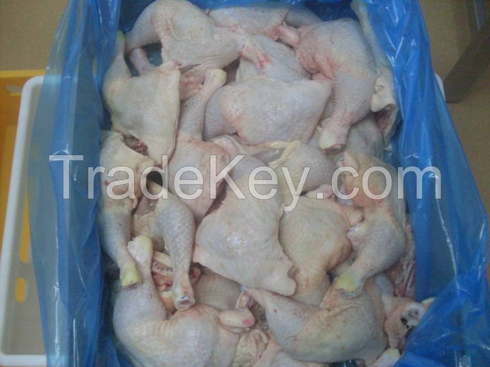 Halal Frozen Chicken Leg Quarter