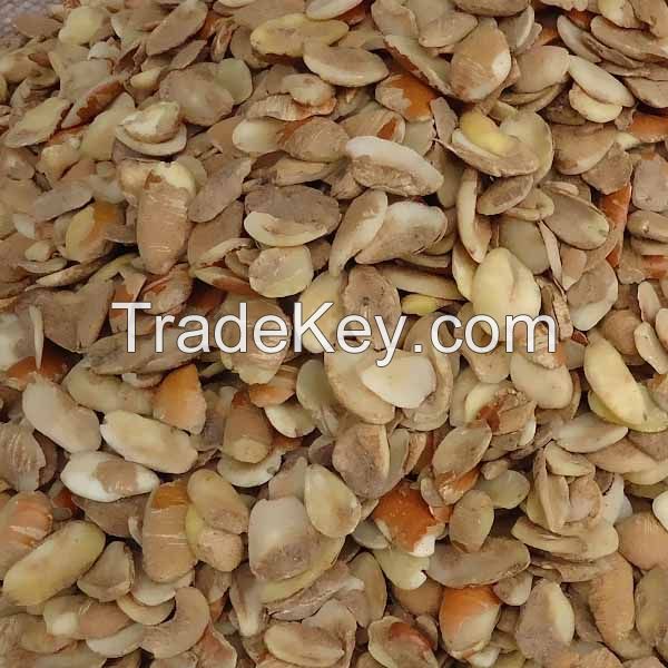 Dried Bush Mango Seed