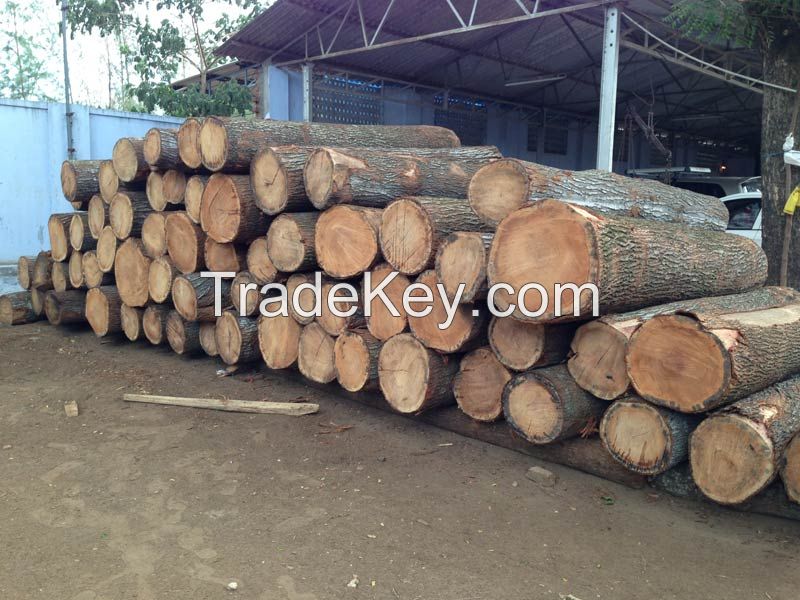 Oak Wood Logs