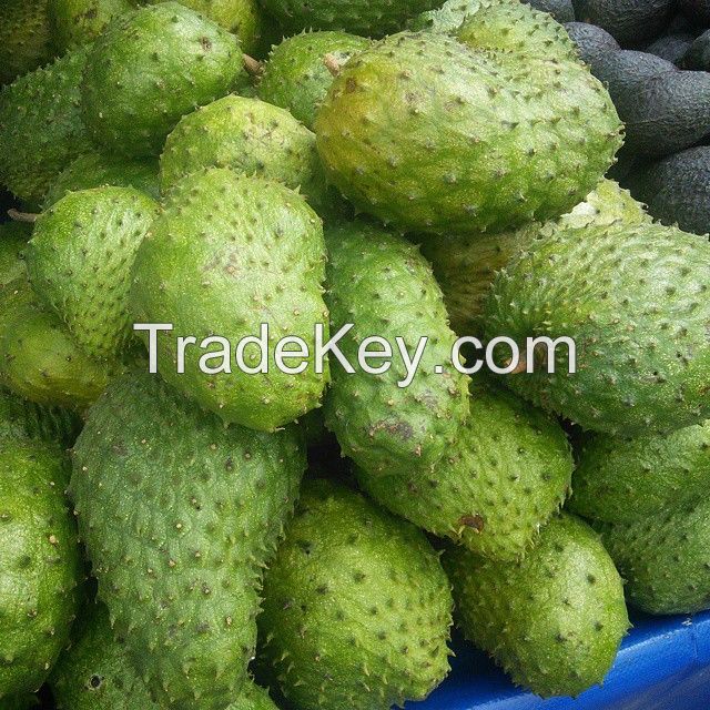 Fresh Soursop Fruit By MBAKGOWAK TRADINGS (PTY) LTD, South Africa