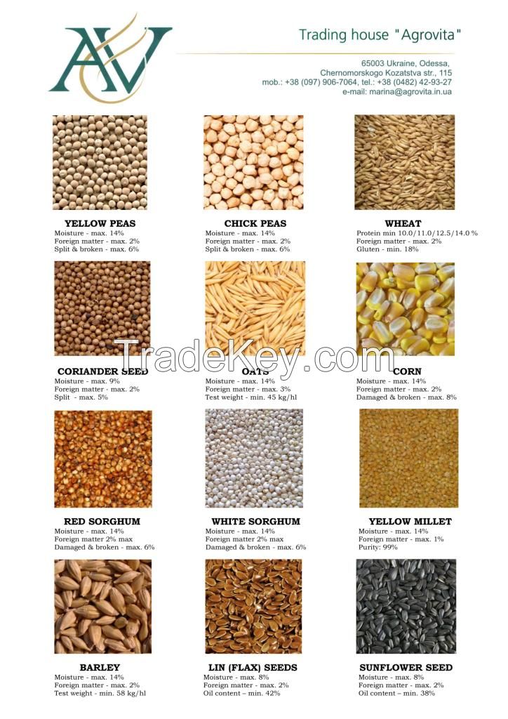 Grains, pulses and oil seeds