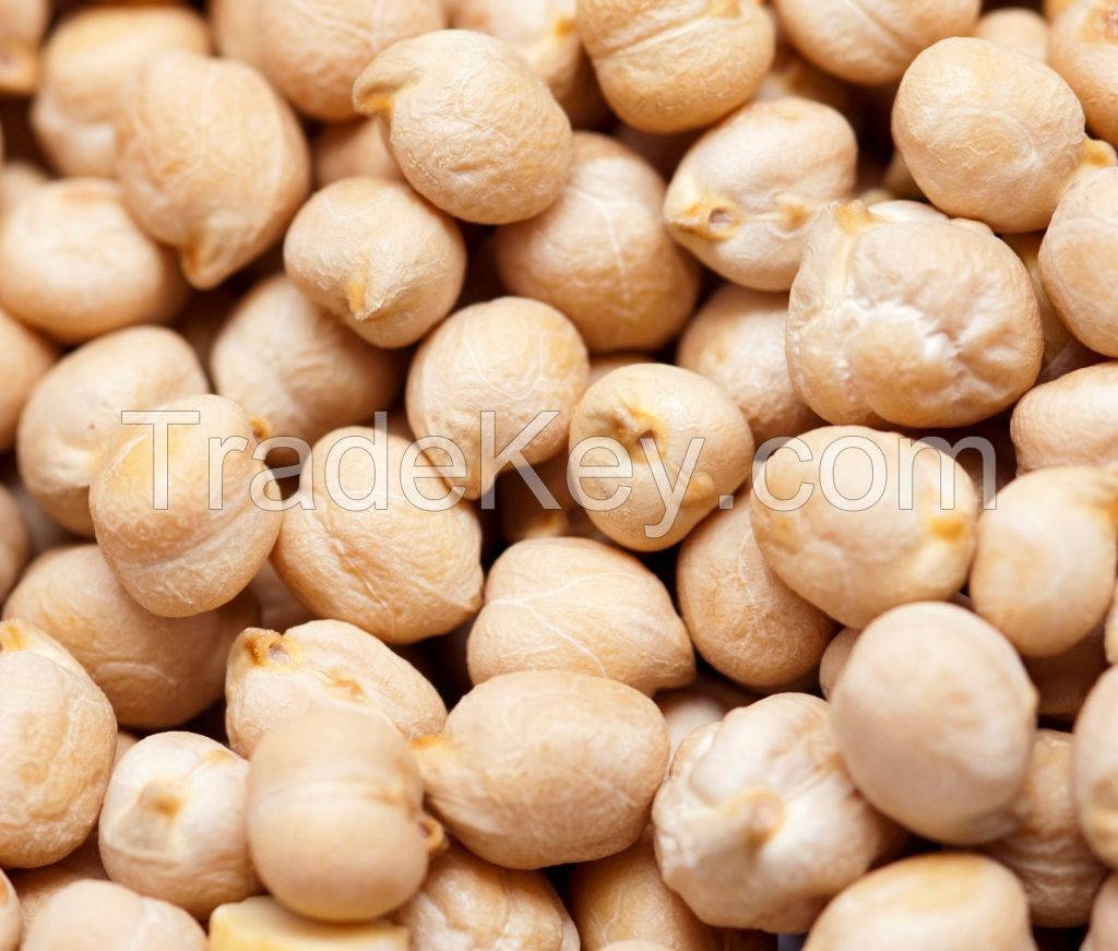 CHICK PEAS from Ukraine