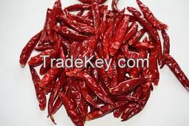 Red Chilli