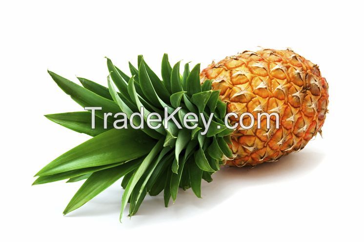 Fresh Pineapple USD 298/Ton