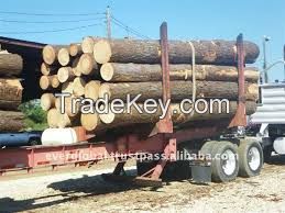 Timber, Round logs timber, Kosso / Rose wood, Mahogany, Gmelina, Mouabi, Niove, .