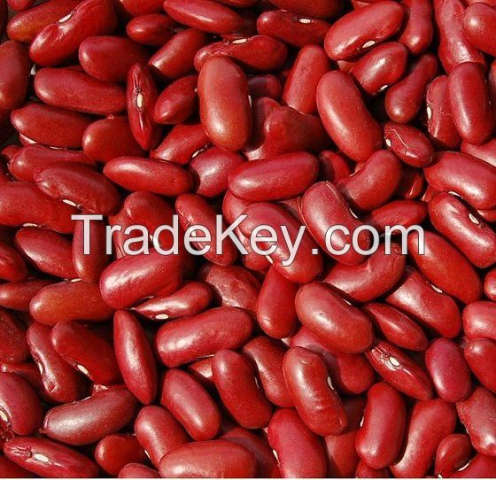 Kidney Red Beans, Kidney White Beans