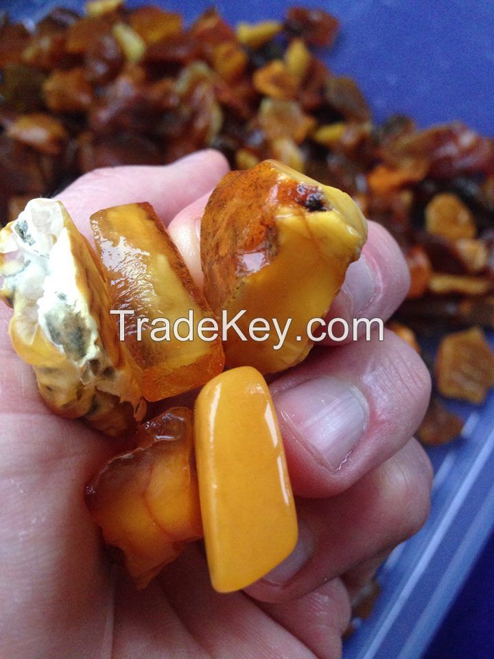 Baltic amber (Samples Available )