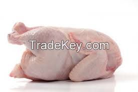 Halal Whole Frozen Chicken and Parts for Export