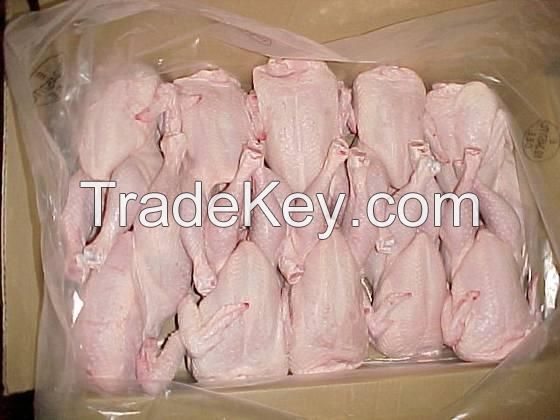 Halal Certified Grade A whole frozen chicken for sale.
