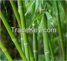 Vietnam bamboo products