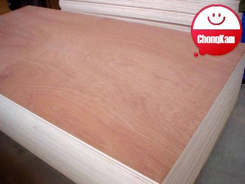 Bintangor furniture plywood, packing plywood, overlaid plywood from ChongKam factory