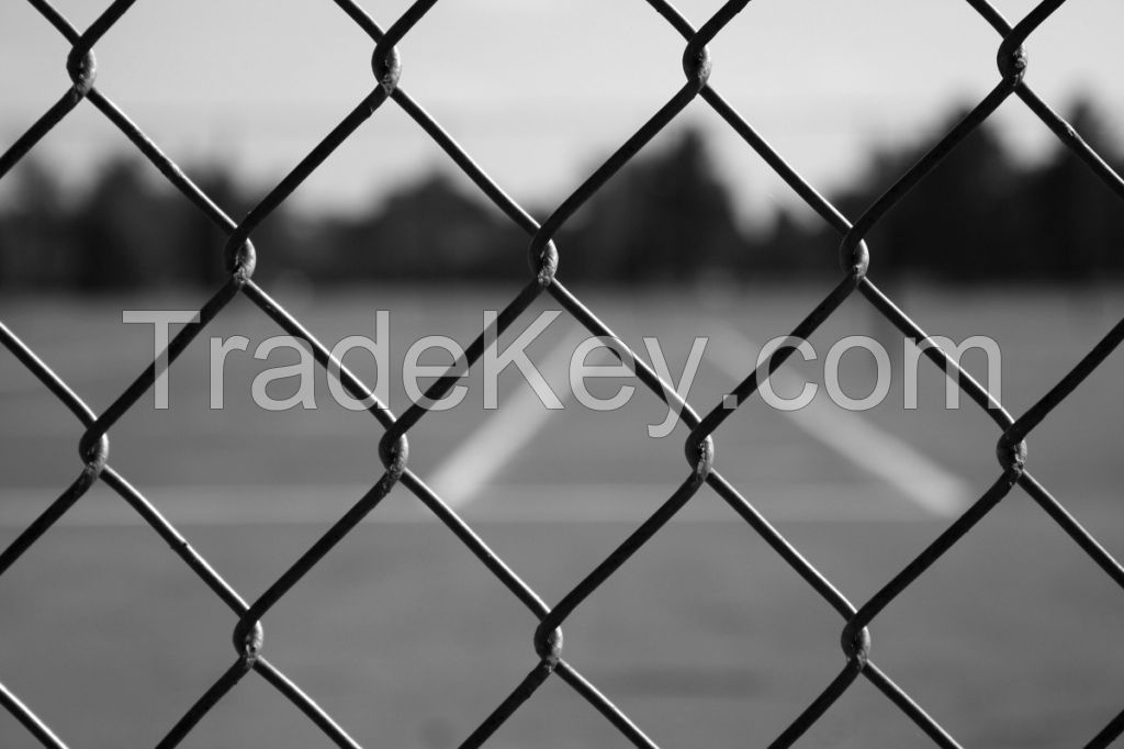 Chain Link Fence