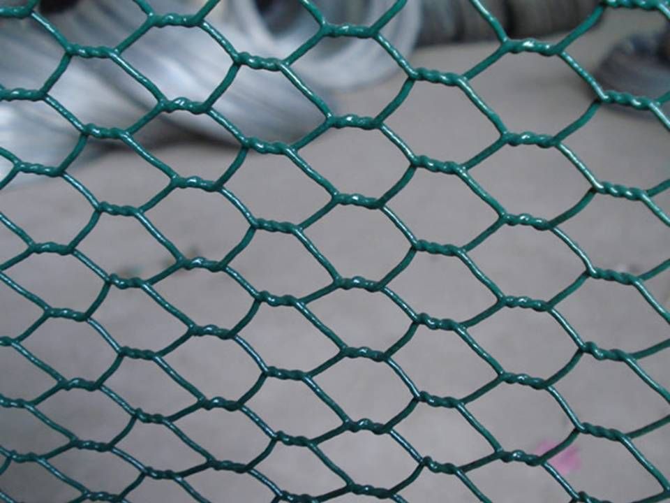 Hexagonal Wire Mesh