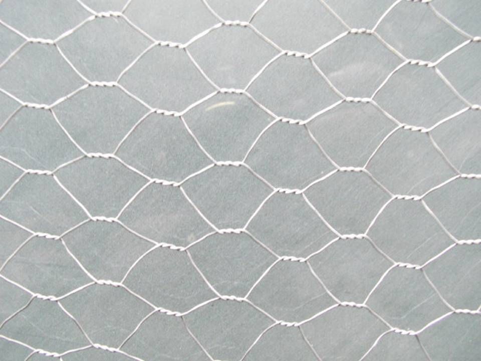 Hexagonal Wire Mesh