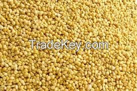 yellow millet