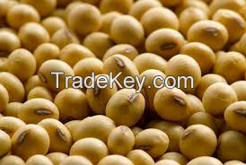 Soybeans For Sale