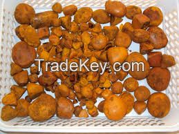 Ox Gallstones, Cow Gallstones