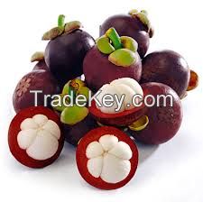 Sell FRESH MANGOSTEEN