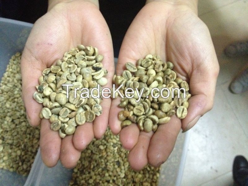 Arabica Coffee High Quality