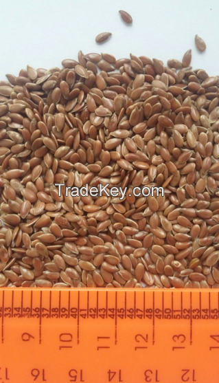Sell flax seeds in large volumes .