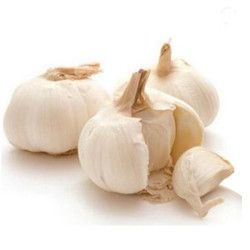 New fresh garlic red manufacturers In China