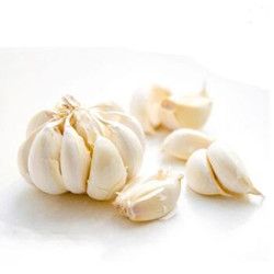 Fresh normal/pure white garlic 4.5-5.0cm