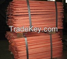 Copper Cathode