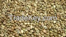 Robusta coffee beans