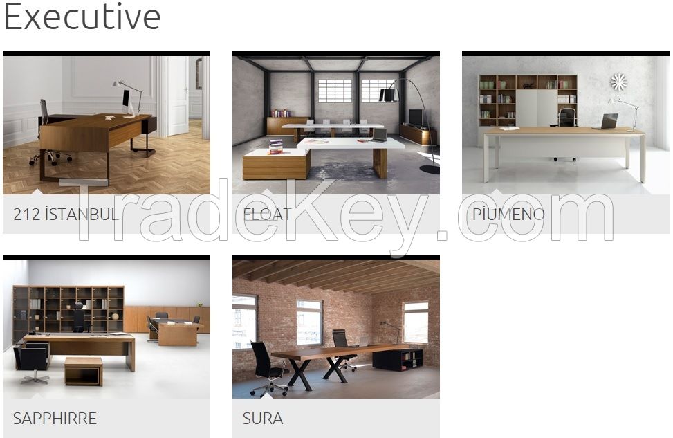OFFICE FURNITURE FOR EXECTUIVES (TUNA)