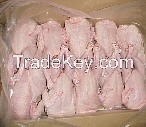 Whole Frozen Chicken and Chicken Parts