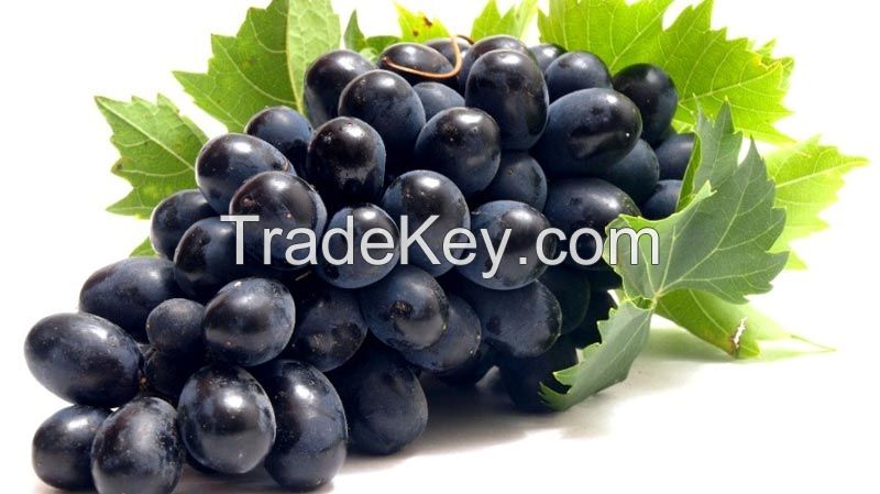 High Quality Fresh Grapes for sale