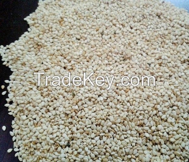 QUALITY SESAME SEEDS For Sale At AFFORDABLE PRICES