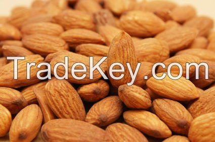 Dried Raw Sweet Almond Nuts