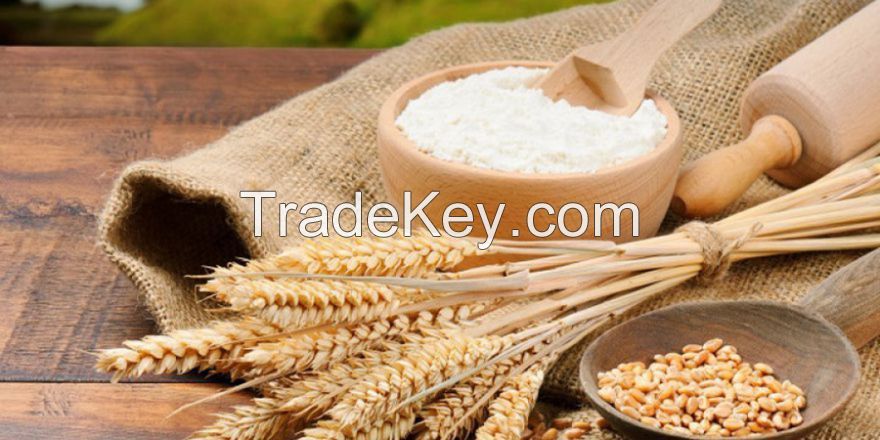 Wheat Flour from Russia, Extra grade, first grade