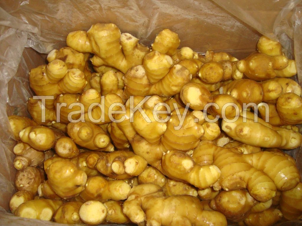 SELL High Quality Grade A Fresh Ginger for Export