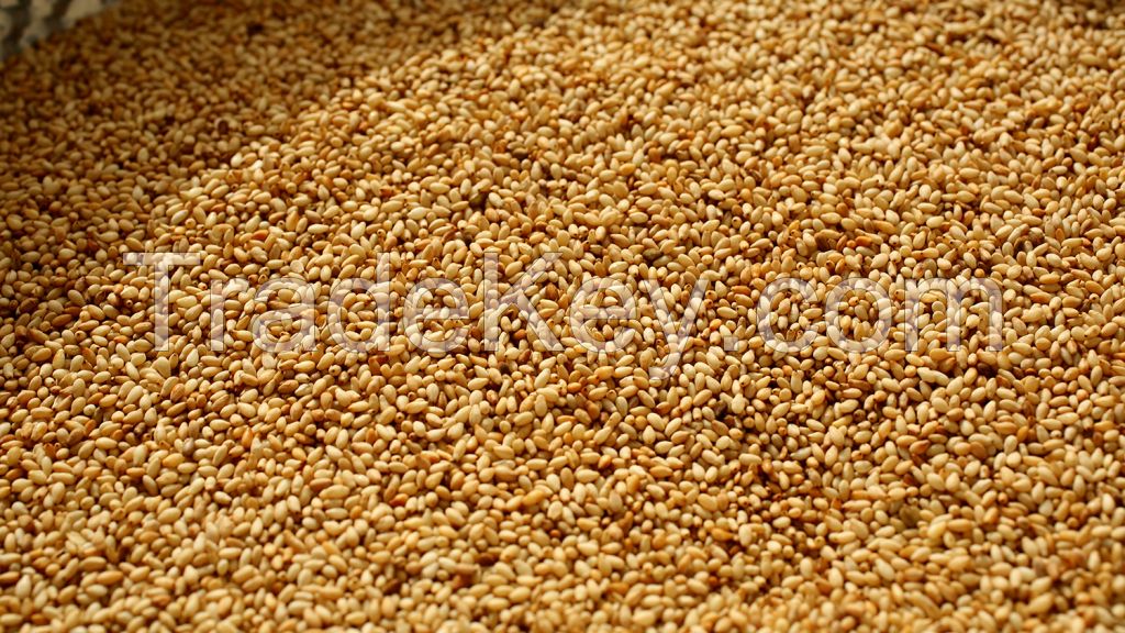 SELL High Quality Grade A Sesame Seeds from Nigeria