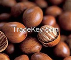 Sell High Quality Grade A Shea Nut from Nigeria