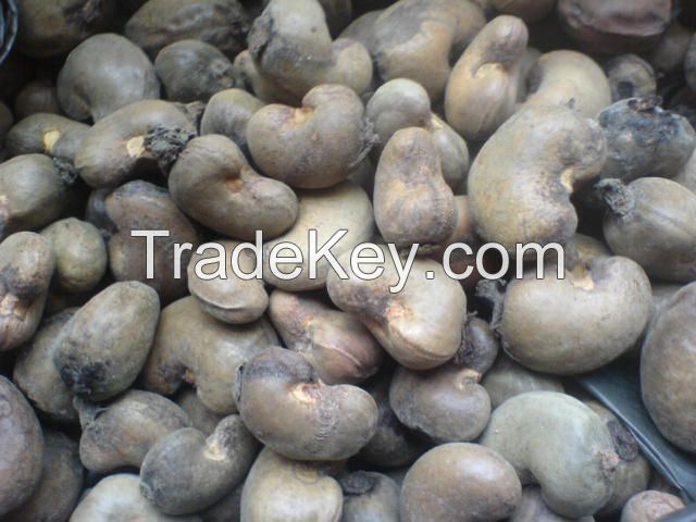 SELL Grade A High Quality Raw and Semi Processed Cashew Nut from Nigeria