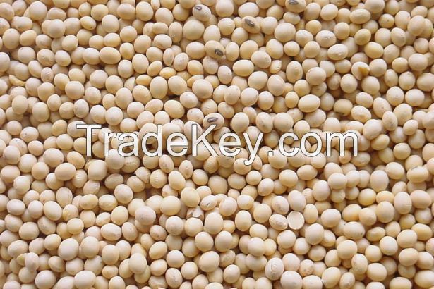 Sell High Quality Grade A Soybeans from Nigeria