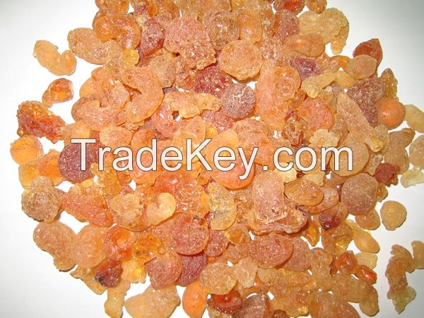 SELL Gum Arabic Acacia Gum from Nigeria