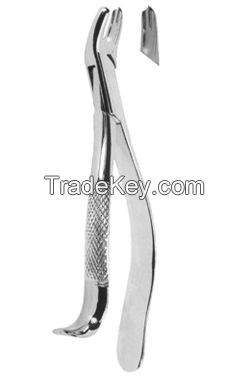 Extracting Forceps