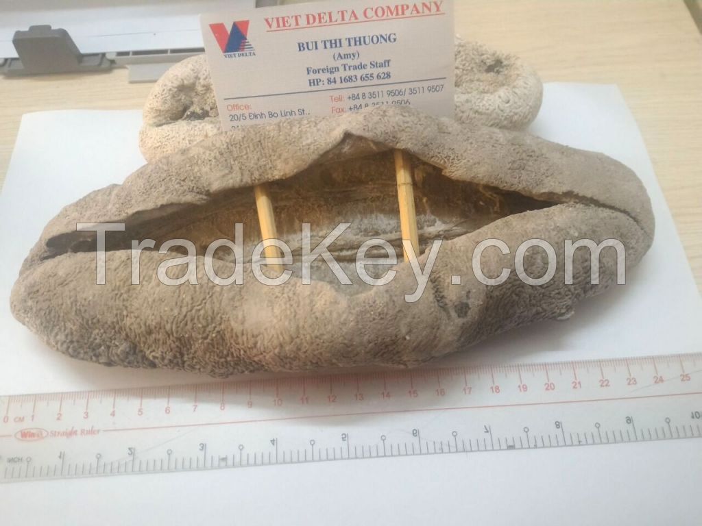 DRIED SEA CUCUMBER 2016 - VIETNAMESE SPECIAL FOOD FOR EXPORT (Whatsapp 84 1683 655 628)