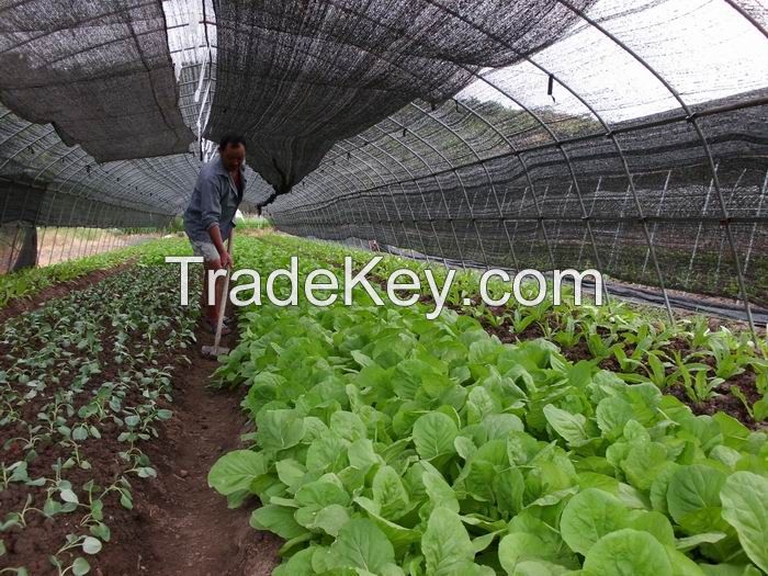 good quanlity agriculture shade net china supplier