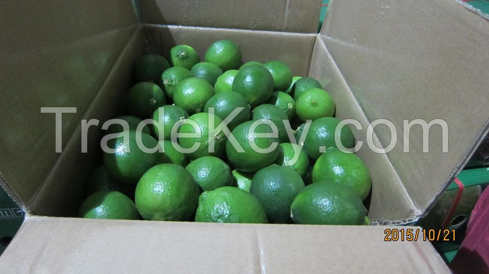 Seedless Fresh Lime/Lemon