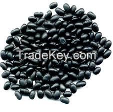 High quality Small Black Beans